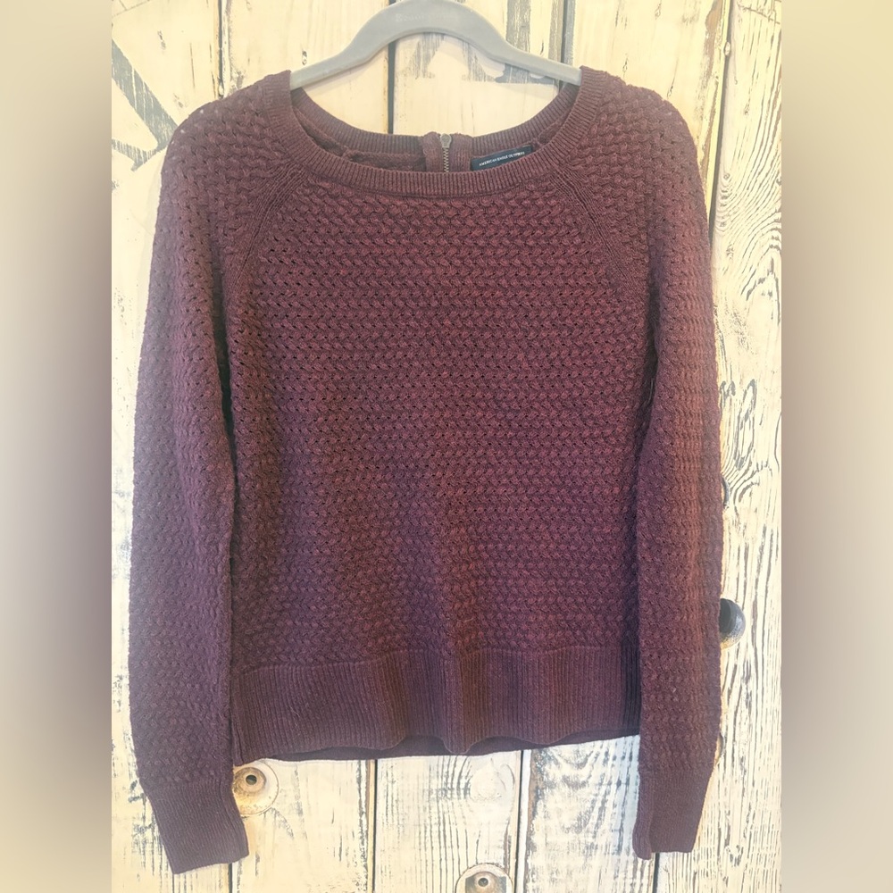 American Eagle Outfitters Maroon Crew Neck Sweater